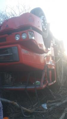 Motorista perde controle e caminhão carregado de madeira tomba na BR-316
