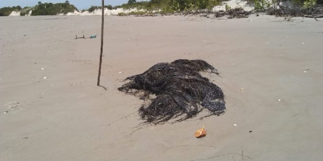Sobe para seis o número de praias no Piauí atingidas por manchas de óleo