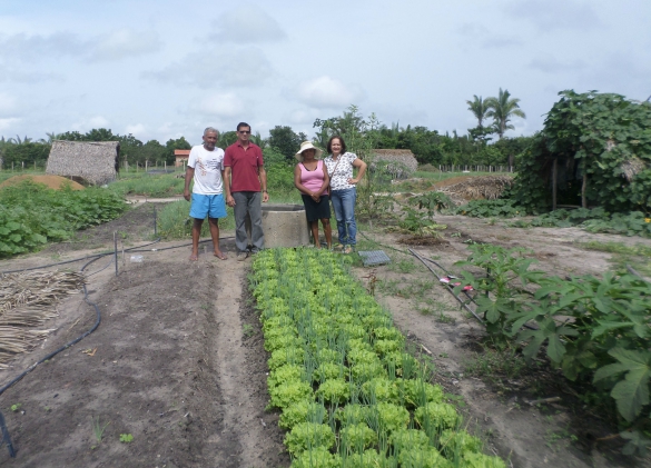 Piauí viabiliza aplicação de recursos para beneficiários da reforma agrária