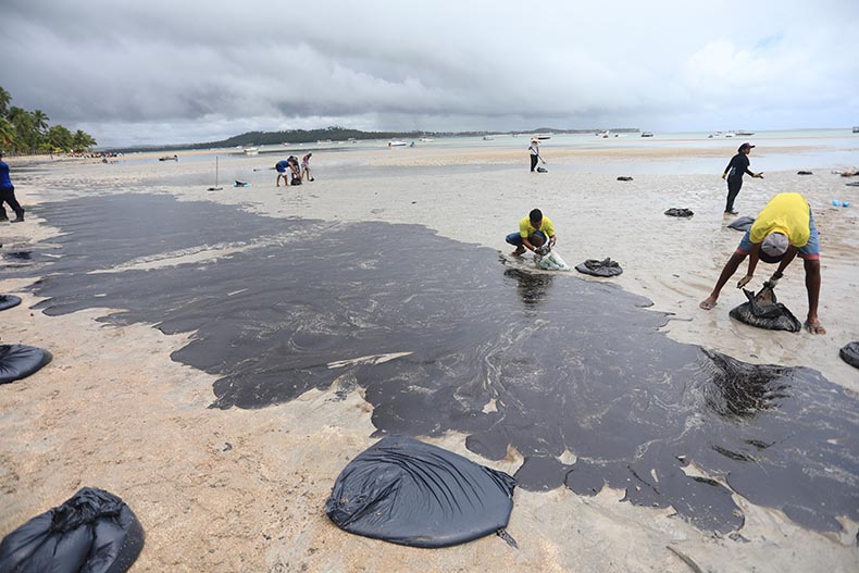 Governo proíbe pesca de camarão entre os estados do Piauí e Ceará