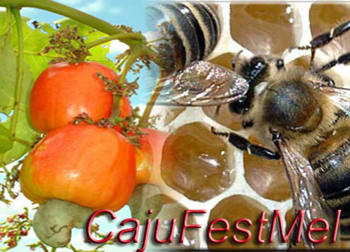 CajuFestMel destacará as cadeias produtivas do mel e da castanha