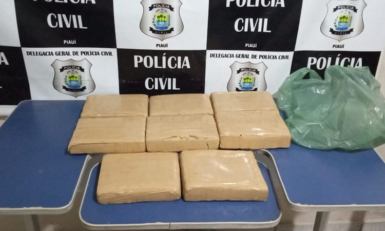 Polícia apreende mais de 9 kg de droga na PI 245