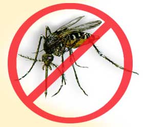 Aumenta número de casos de dengue em Picos