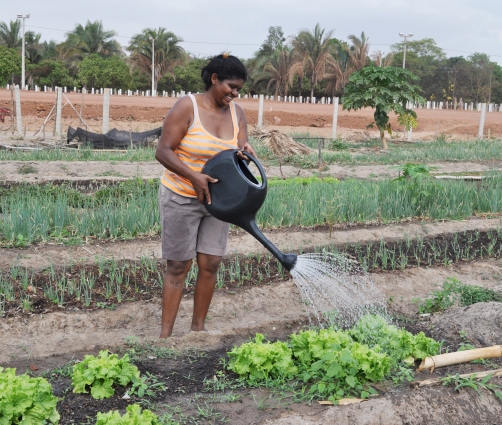 Agricultores receberão kits de irrigação familiar em Picos