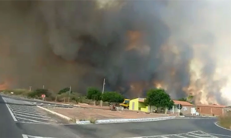 Incêndio atinge vegetação às margens da BR 020 e há três dias ameaça casas na BR-020