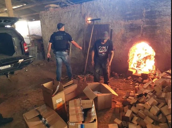 Mais de 93 quilos de maconha são incinerados pela Polícia Civil