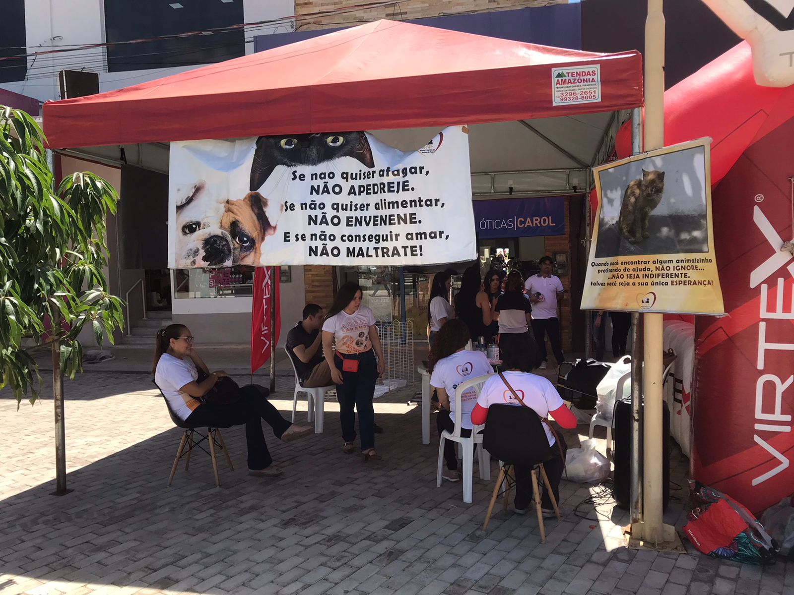 APAPI realiza feira de adoção de animais em Picos