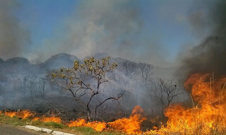 Piauí tem aumento de focos e sobe para a 6ª posição no ranking de queimadas no Brasil