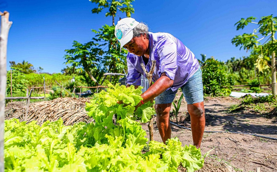 UFPI divulga edital com 20 vagas para curso de Tecnologia em Agroecologia