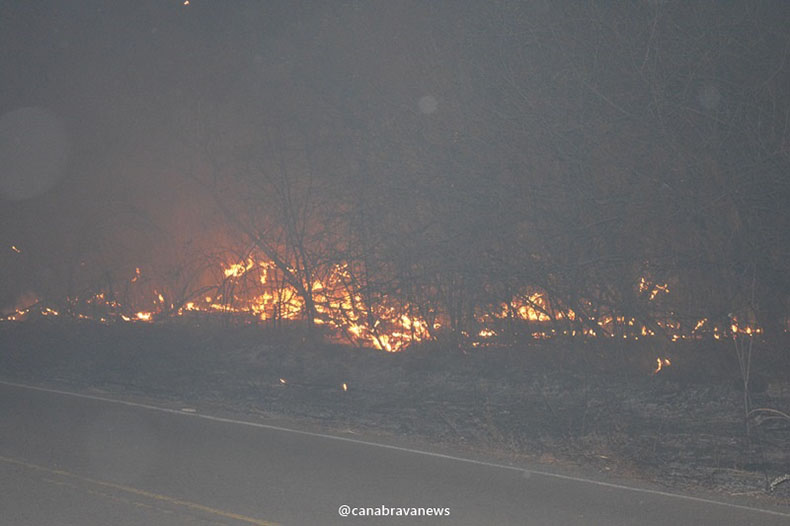 Incêndio florestal de grandes proporções atinge zona rural de Bocaina