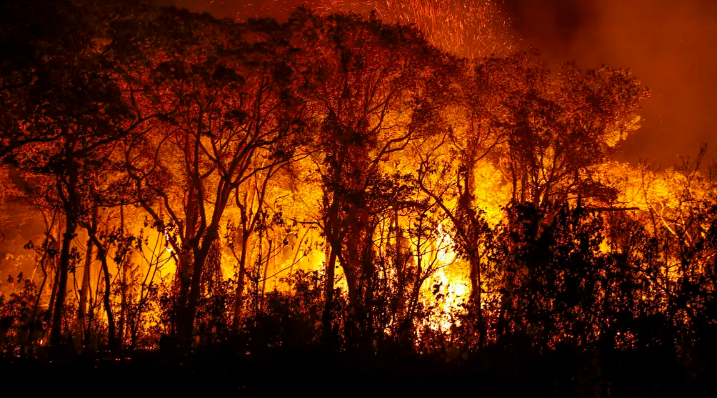 Pantanal tem mais de 3 mil incêndios em novembro; recorde histórico