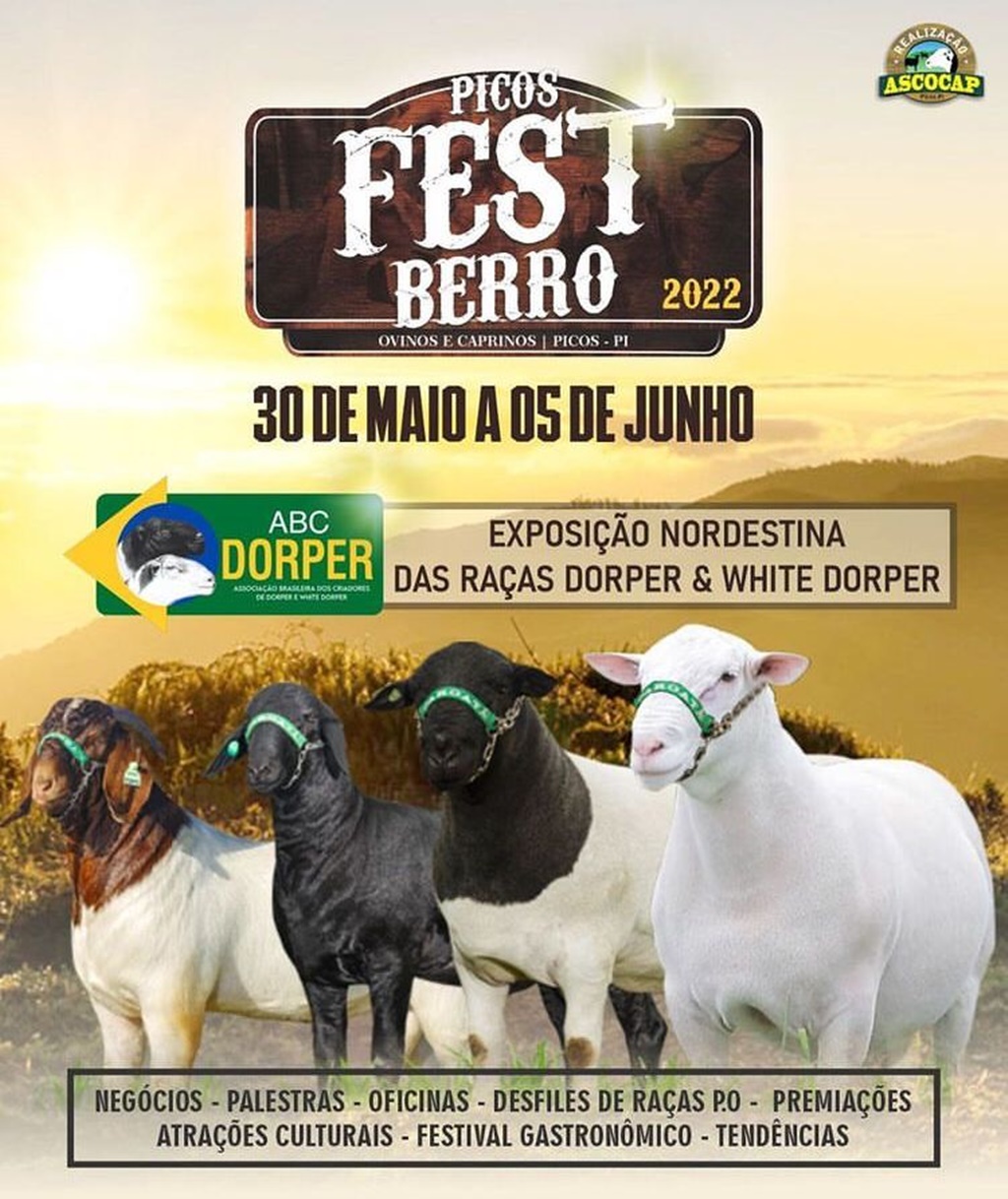 VII Picos Fest Berro inicia na segunda-feira (30)