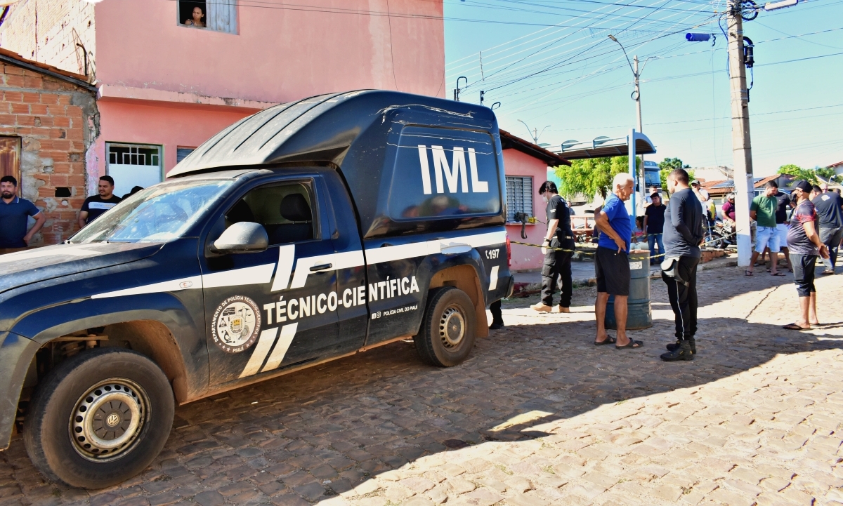 Em Picos, Polícia conclui inquérito de homicídio com golpe de foice