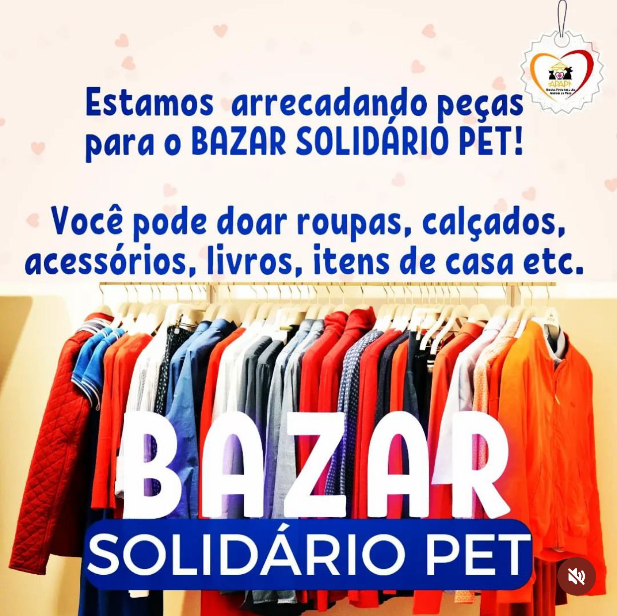 Em Picos, APAPI arrecada doações para Bazar Solidário Pet