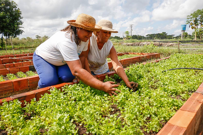 Governo prorroga prazo para cadastro na Agricultura Familiar