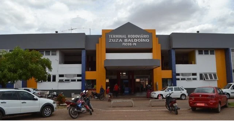 Em Picos, jacaré é capturado no Terminal Rodoviário Zuza Baldoíno