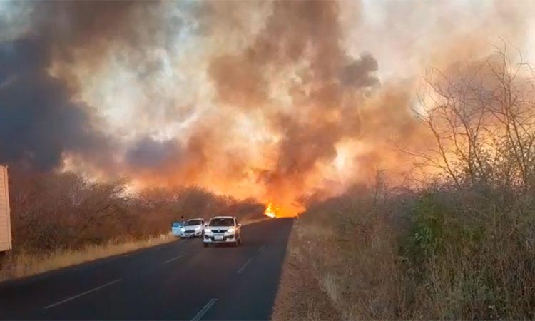 Cresce em 125% focos de incêndio e Piauí bate recorde histórico de queimadas