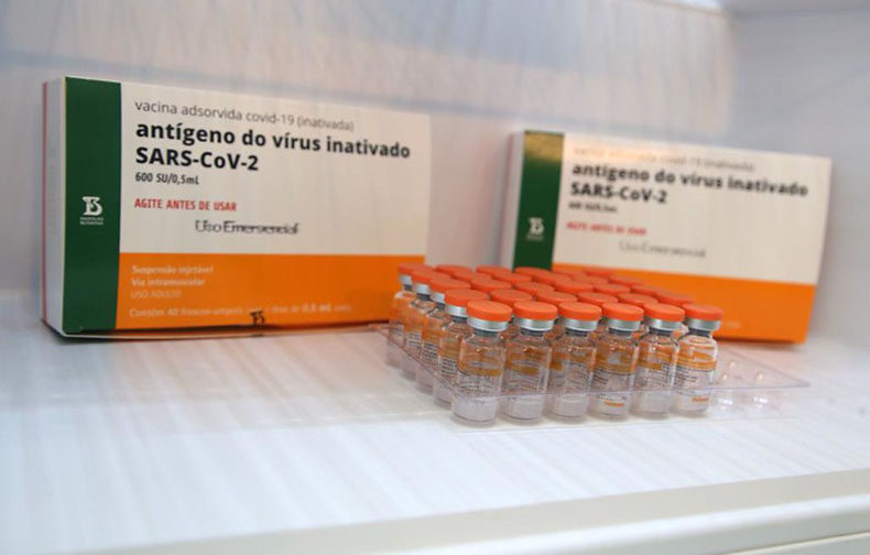 Brasil recebe em 3 de fevereiro mais 1,8 milhão de doses pediátricas da Pfizer