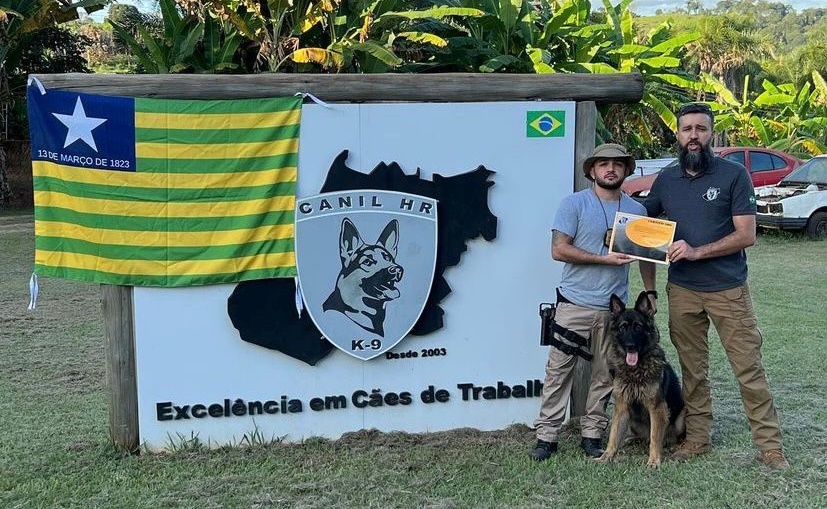 Polícia Civil de Picos adquire cão farejador para auxílio no combate ao tráfico de drogas