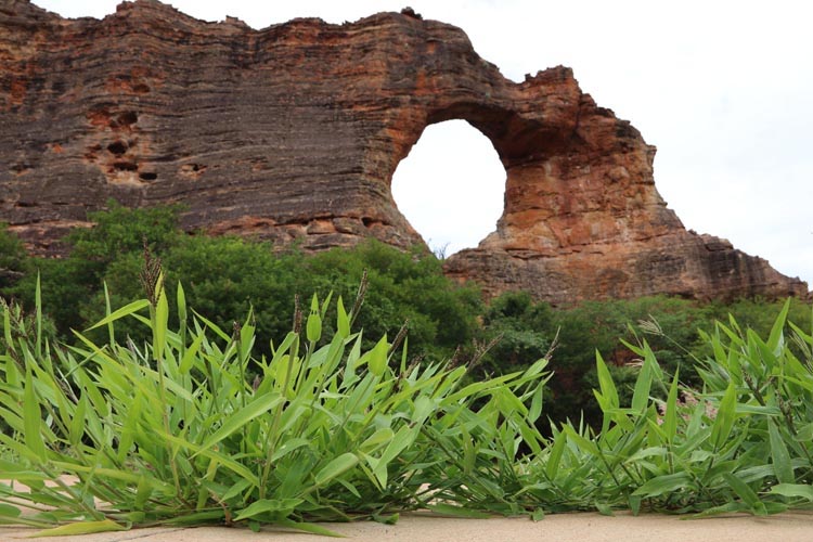 Parque Serra da Capivara, único do País, incluído na lista do The New York Times