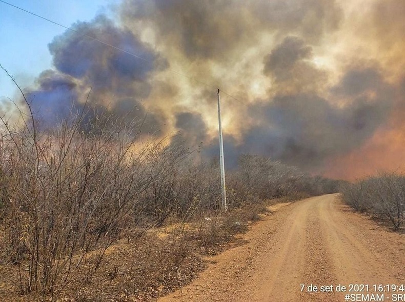 Focos de incêndio em setembro batem recorde e chegam a quase 4 mil no Piauí