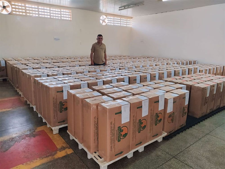 Cooperativa do Piauí exporta mais de 25 toneladas de castanha de caju para Itália