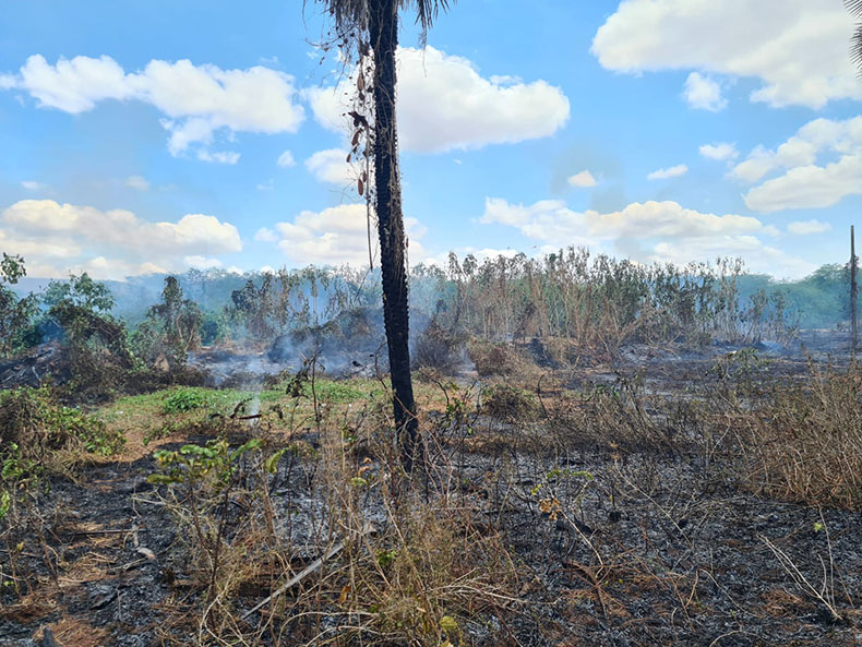 Incêndio atinge área de vegetação próximo ao Hospital de Picos