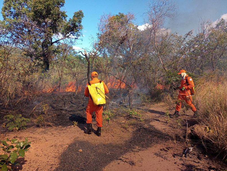 Em nove dias, Corpo de Bombeiros registra 40 queimadas em Picos