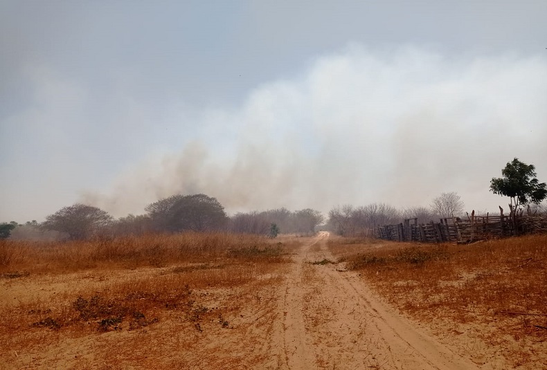 Focos de queimadas voltam a crescer e Piauí ocupa 3ª posição no Nordeste