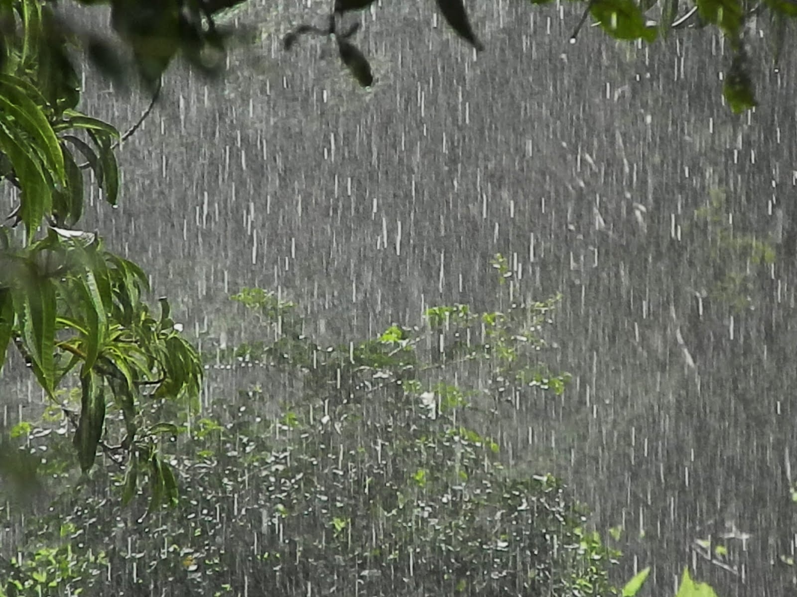 Inmet aponta chuvas isoladas em cidades do sul do Piauí nesta terça-feira