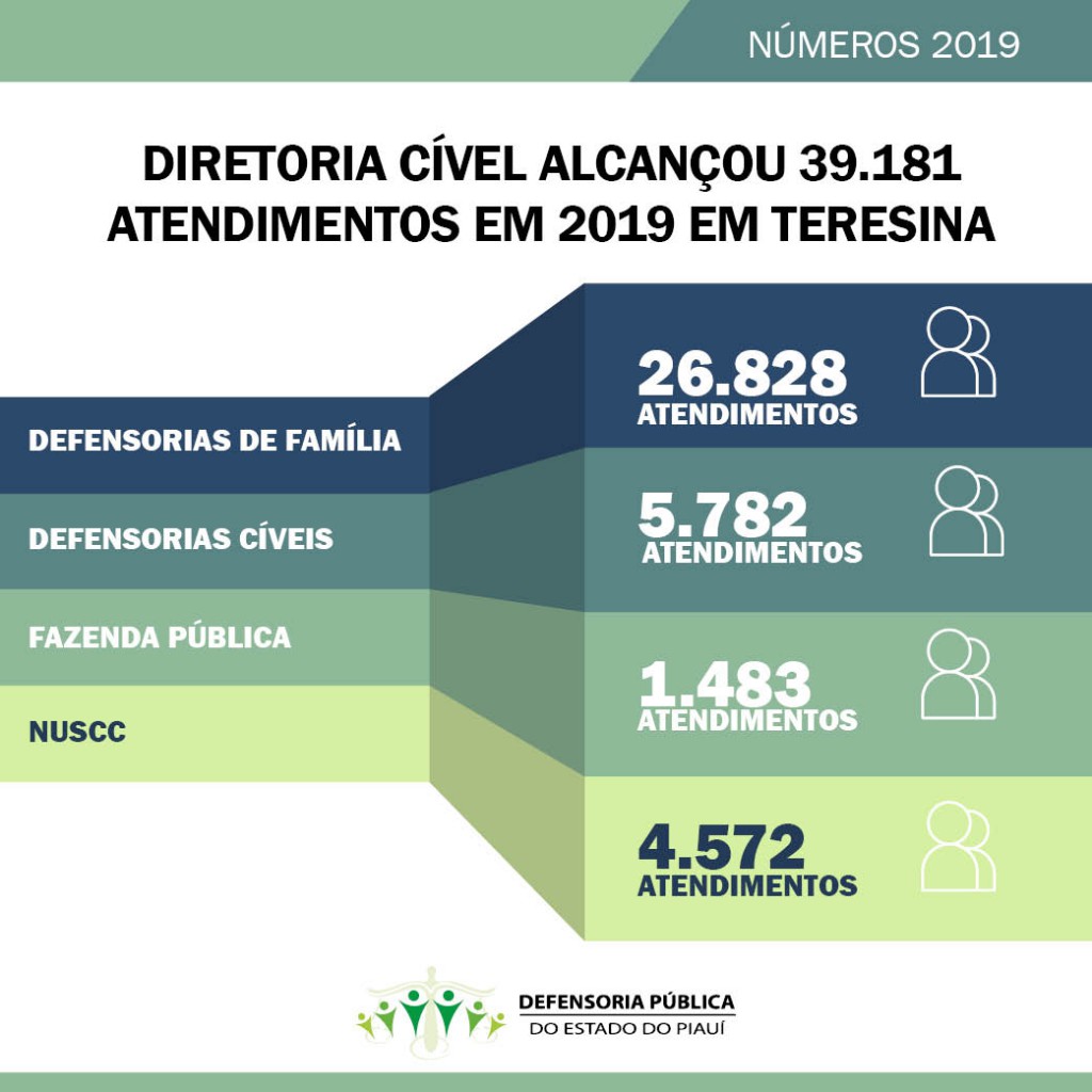Diretoria Cível da Defensoria alcançou quase 40 mil atendimentos em 2019 em Teresina
