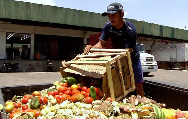 Pesquisa traz dicas sobre como reduzir desperdício de alimentos