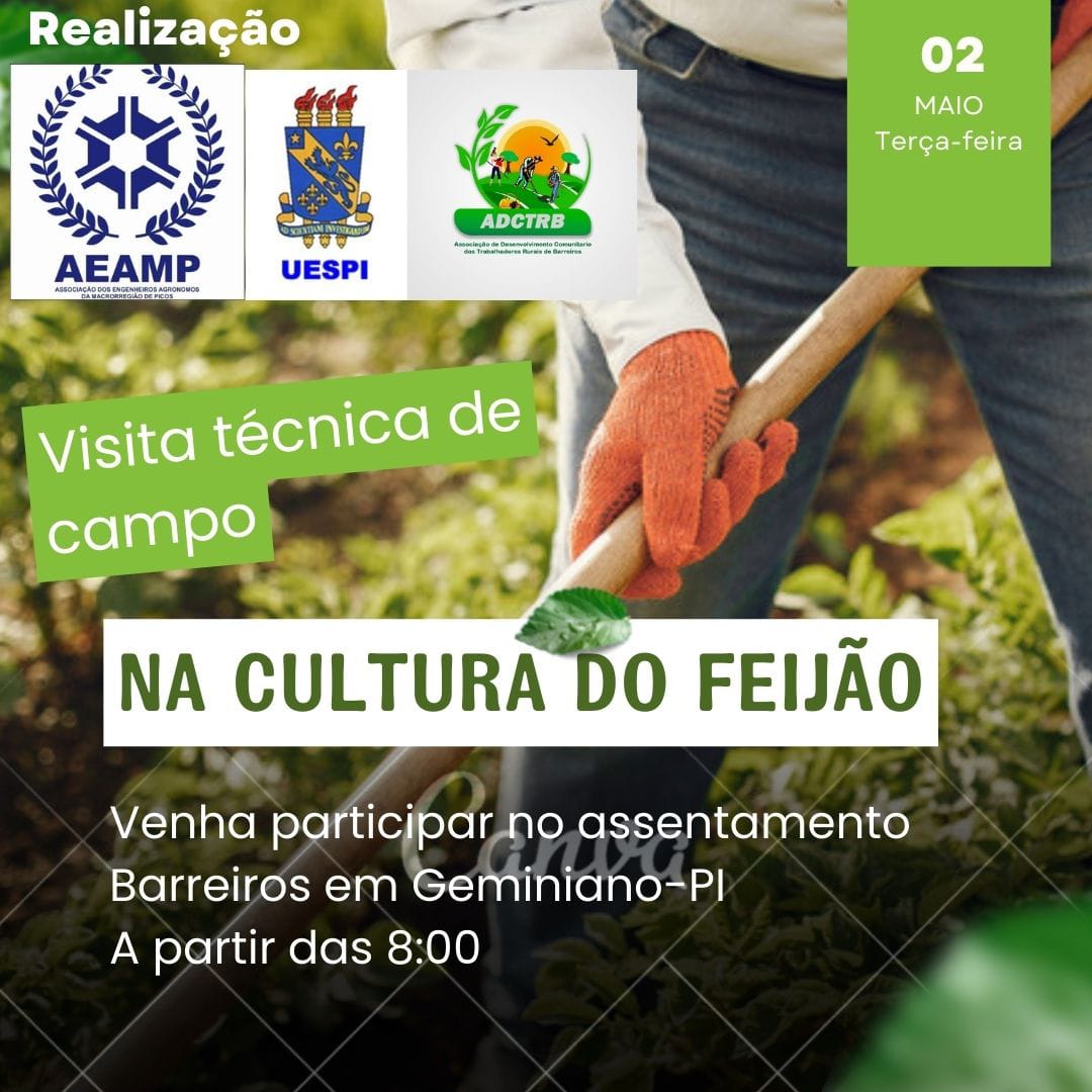 Assentamento em Geminiano receberá visita técnica da Associação dos Engenheiros Agrônomos de Picos para avaliação da cultura do feijão