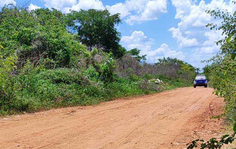 Corpo de homem é encontrado em terreno baldio no Piauí