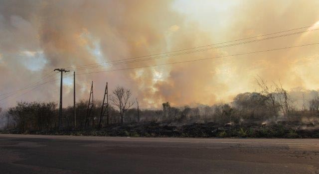Equatorial faz alerta para queimadas que danificam a rede elétrica