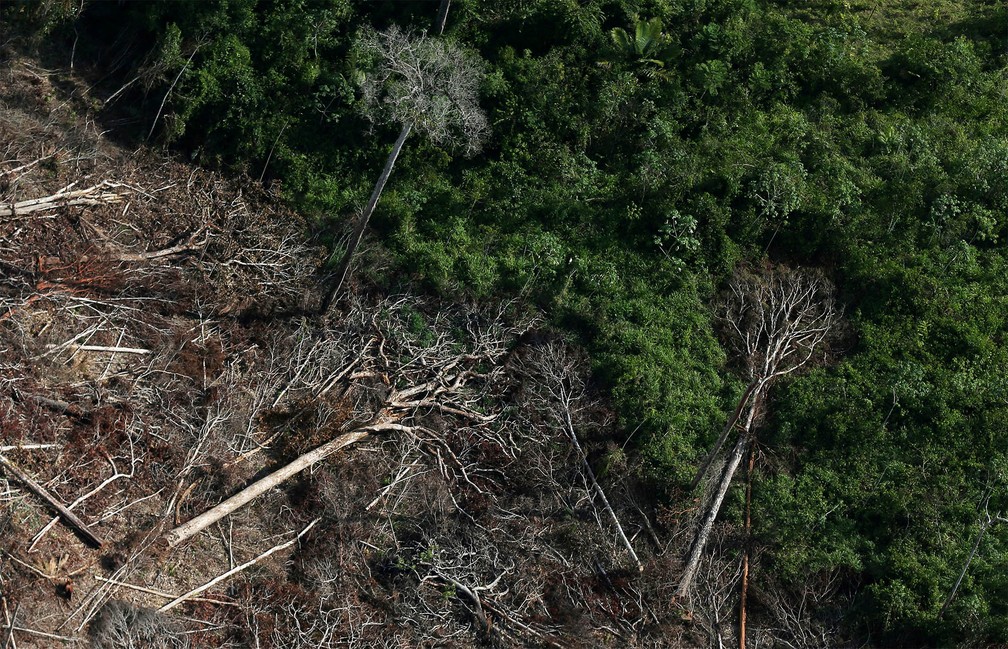 Amazônia bate novo recorde nos alertas de desmatamento em junho; sinais de devastação atingem mais de 3 mil km² no semestre, aumento de 25%