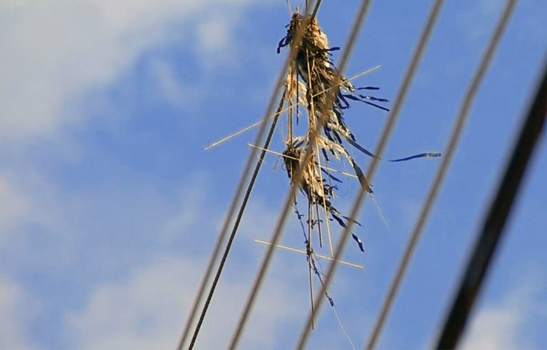 Equatorial Piauí faz alerta após aumento no número de ocorrências com pipas na rede elétrica