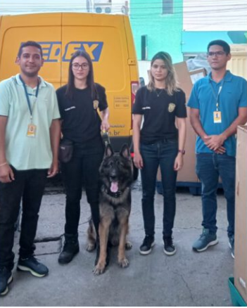 Em Picos, Polícia Civil realiza operação de vistoria nos Correios com auxílio de cão farejador