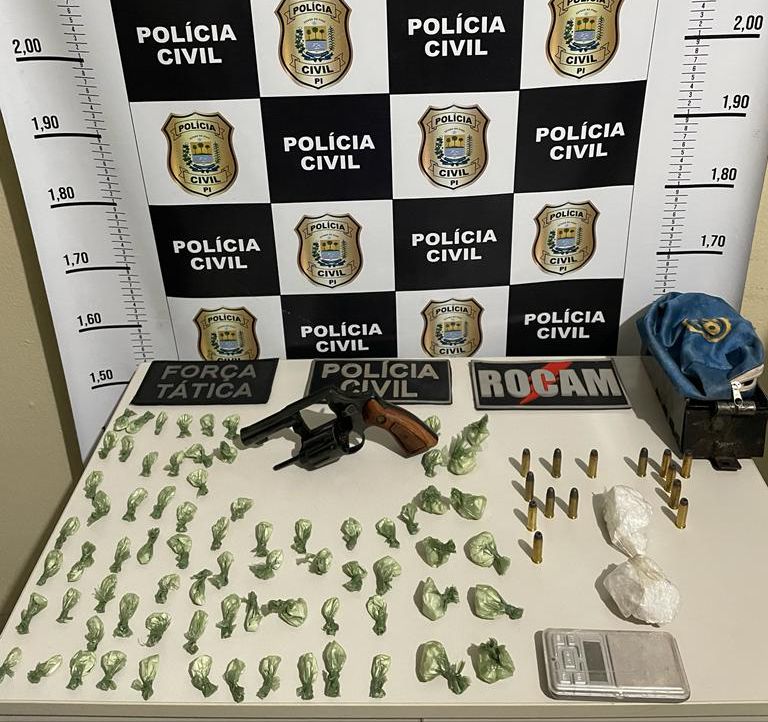 Operação da Polícia apreende arma, munições e drogas em Picos