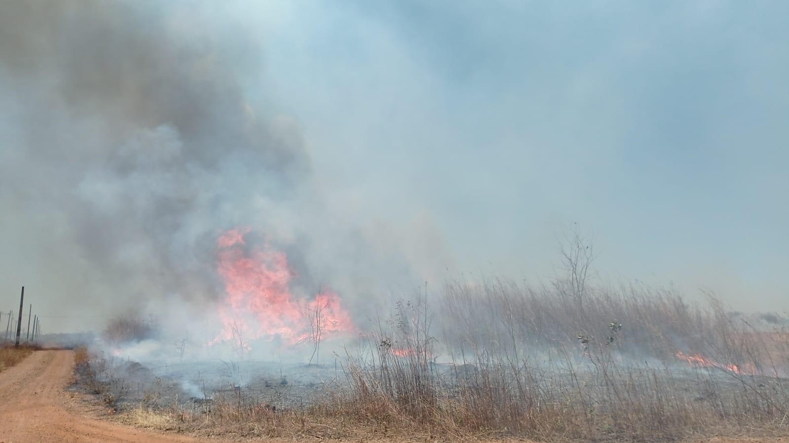 Corpo de Bombeiros de Picos atende ocorrência de incêndio florestal no povoado Morrinhos 