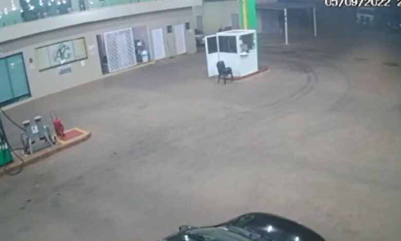 Vídeo: mulher incendeia moto em posto de combustíveis em Picos