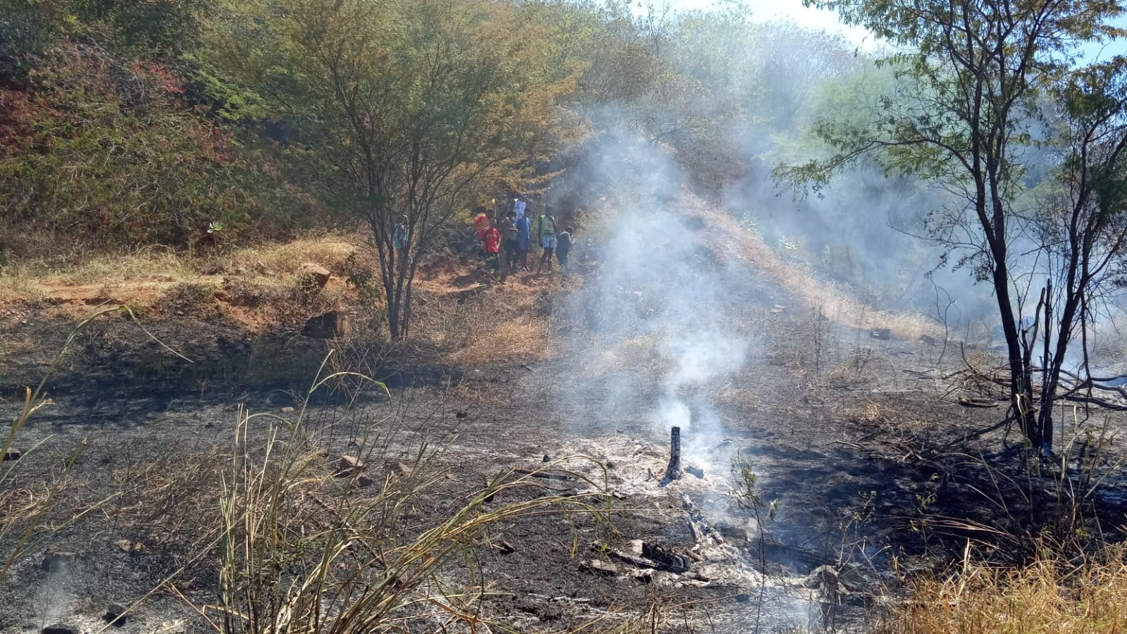 Corpo de homem é encontrado carbonizado em terreno baldio no bairro Aroeiras do Matadouro em Picos
