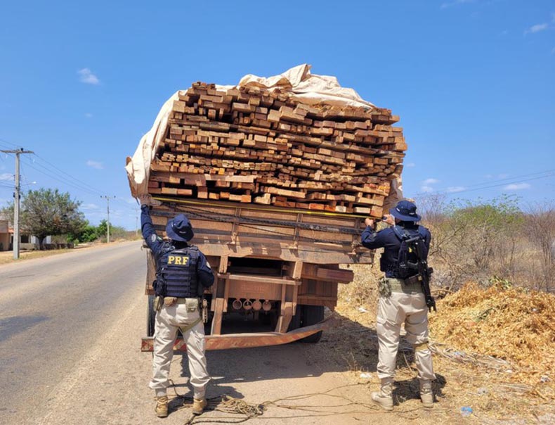 PRF apreende carga de madeira transportada ilegalmente no Piauí