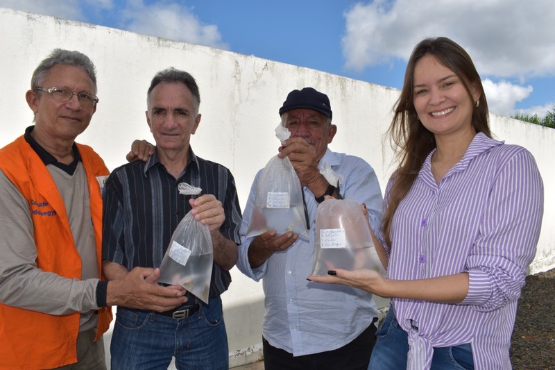 Saúde de Picos realiza atividade de inserção de alevinos para auxiliar no combate ao mosquito Aedes Aegypti