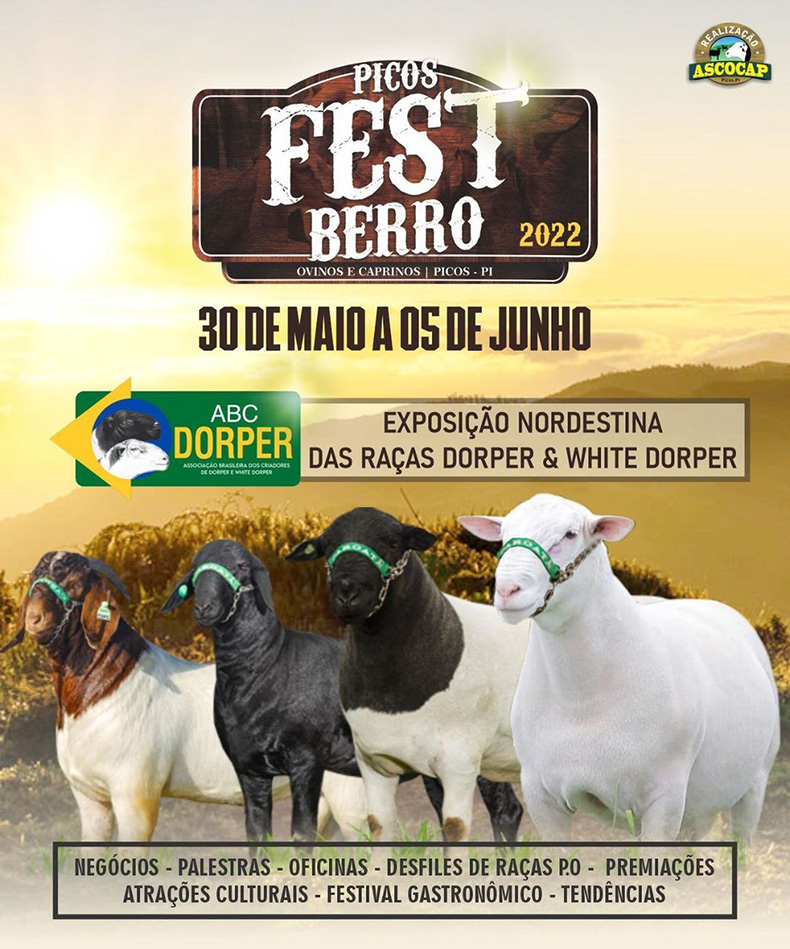 Picos Fest Berro inicia nesta segunda (30)