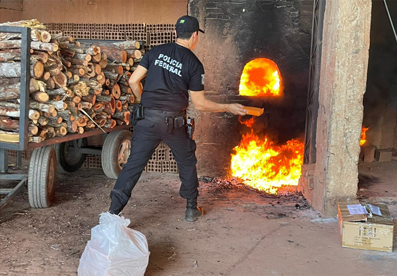 Polícia Federal incinera 350 kg de drogas apreendidas em operações no Piauí