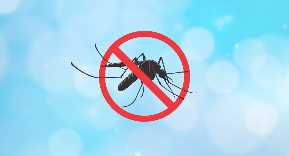 Picos registra 16 casos de dengue e seis de Chikungunya; saiba os bairros