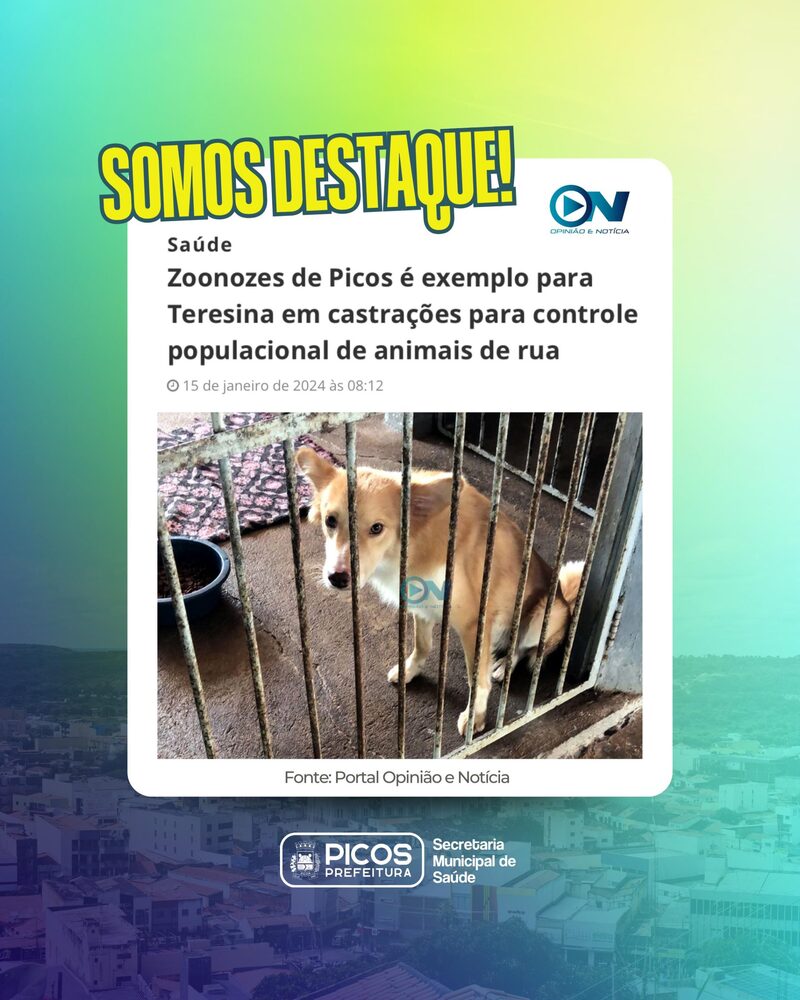 Programa permanente de castração de animais de rua de Picos torna-se exemplo para outras cidades