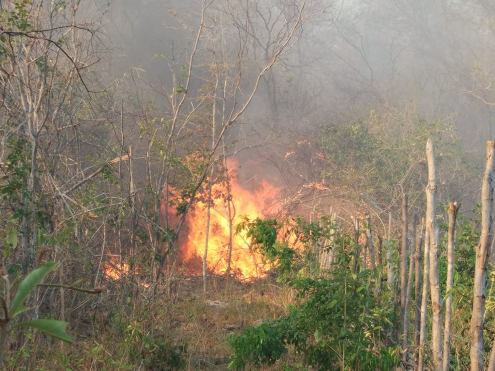 Piauí tem alerta de baixa umidade, com perigo de incêndio e riscos à saúde