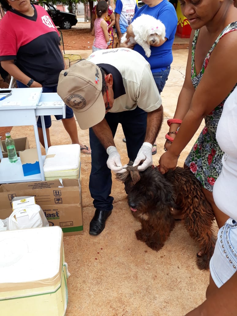 Secretaria de Saúde realiza neste sábado (16), Campanha de Vacinação Antirrábica Animal